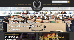 Desktop Screenshot of cursodecocteles.com